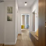 The Luxury Flat